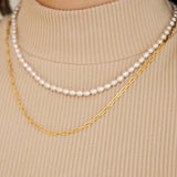 Collier Jamie