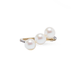 Bague Climber