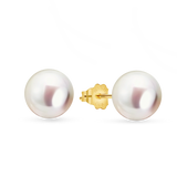 14kt Gold Maxi Studs - 8-9mm white round freshwater pearl earrings in 14kt yellow gold by Nishi Pearls, studio view