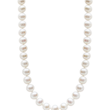 14kt Gold Midi Necklace - 7-8mm white freshwater pearl necklace in 14kt yellow gold, 18in, by Nishi Pearls, studio view