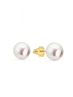 14kt Gold Midi Studs - 7-8mm white round freshwater pearl earrings in 14kt yellow gold by Nishi Pearls, studio view