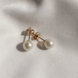14kt Gold Mini Studs - 6-7mm white freshwater pearl earrings in 14kt yellow gold by Nishi Pearls, styled lifestyle photo