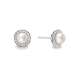 Halo Studs